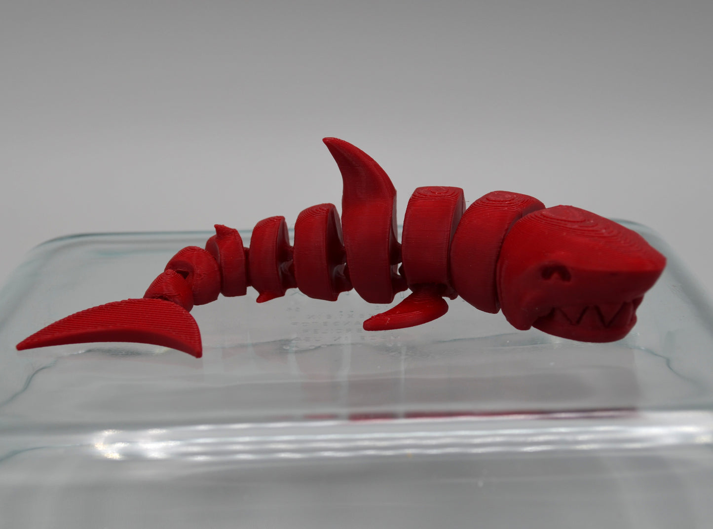 Fidget Companion Pet - Octopals, Sharks, and Geckos