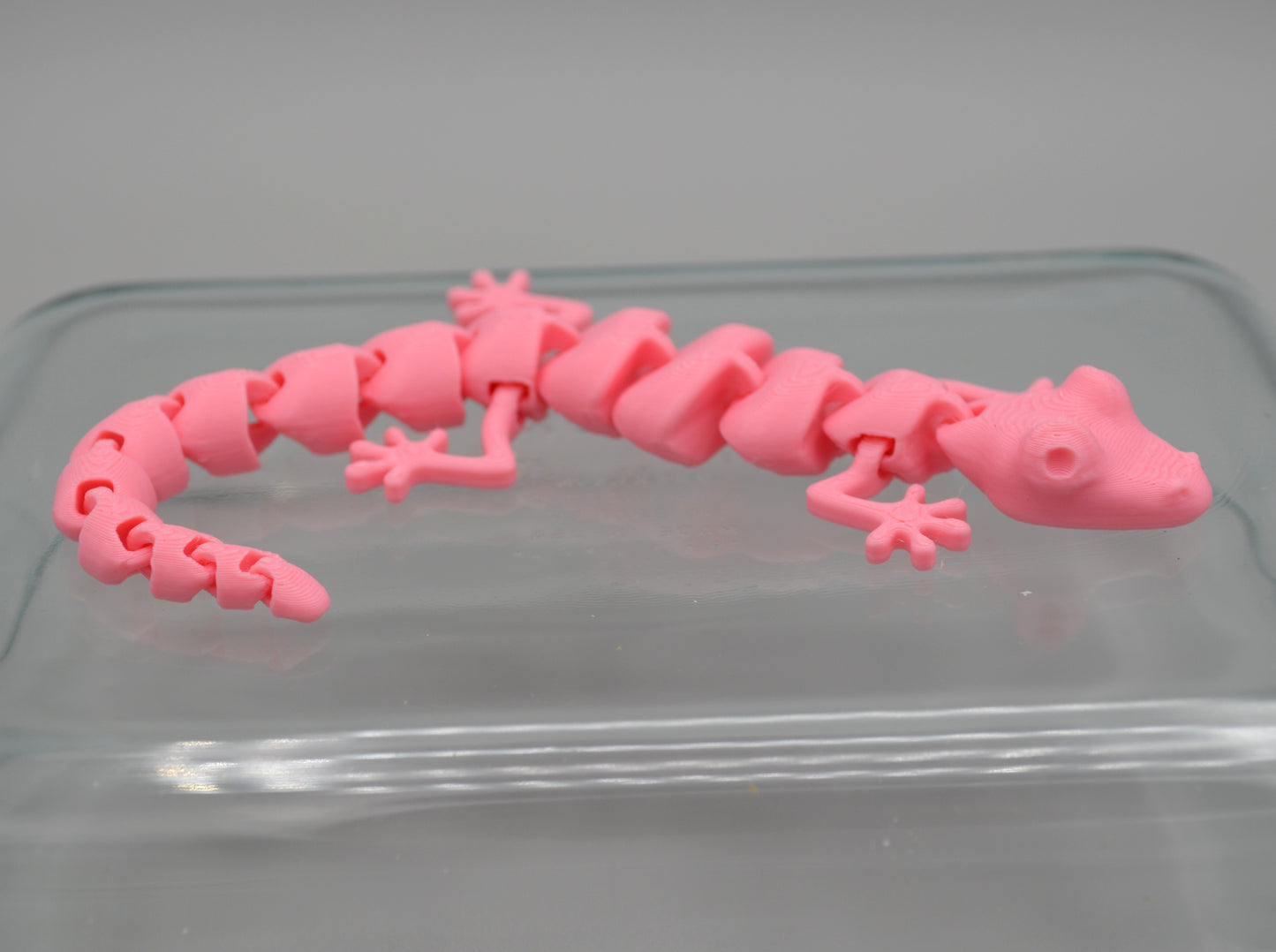 Fidget Companion Pet - Octopals, Sharks, and Geckos