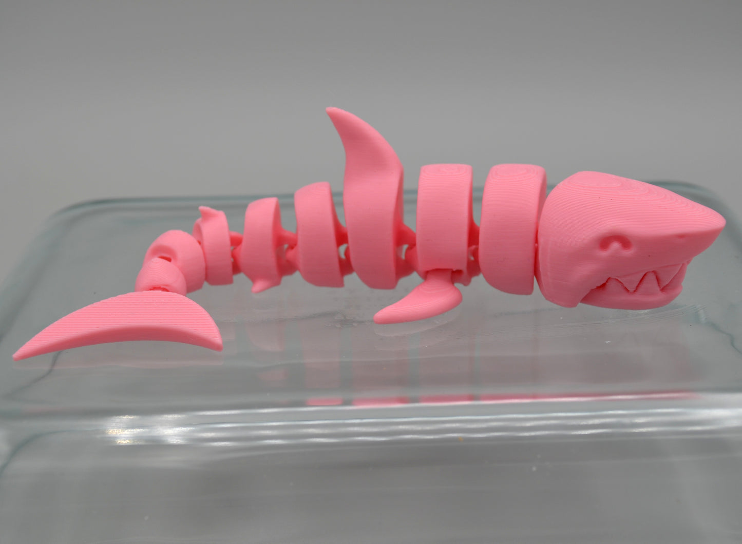 Fidget Companion Pet - Octopals, Sharks, and Geckos