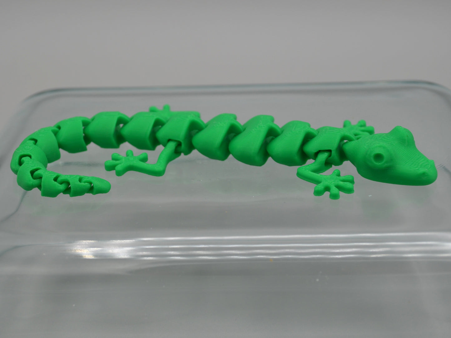 Fidget Companion Pet - Octopals, Sharks, and Geckos